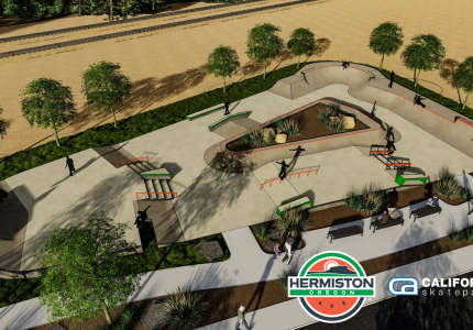 Teen Adventure Park conceptual drawing with skate features and trees