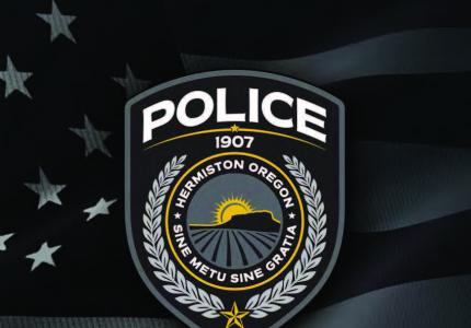 2024 HPD Annual Report