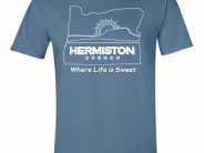 t-shirt, state outline blue