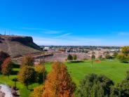 park landscape