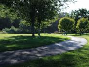 Trail curving around a tree at Riverfront Park.