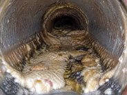 Fats, oils and greases can clog city sewer lines, leading to blockages and costly repairs.
