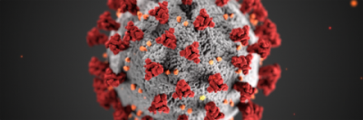 Virus Image