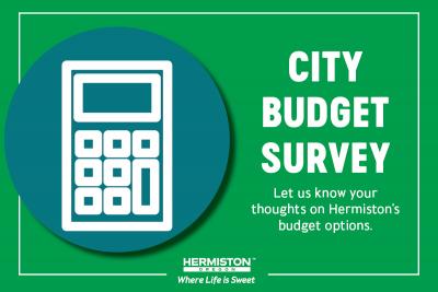 City Budget Survey