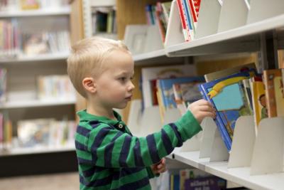 Young Boy Selecting a Book