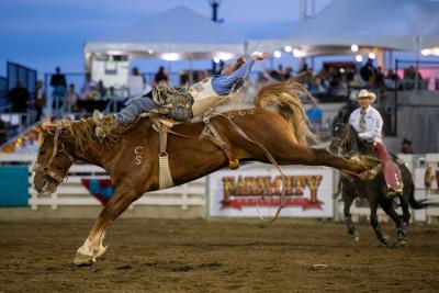 Bucking bronc at Farm-City Pro Rodeo