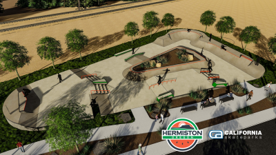 Teen Adventure Park conceptual drawing with skate features and trees