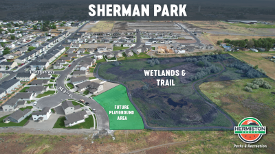 Sherman Park aerial overview.